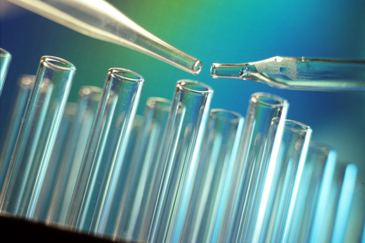 PHOTO: A group of Montana parents has been visiting Walgreens stores around the state this week, asking that the company remove products from store shelves that have been shown to contain toxic chemicals. Photo credit: Microsoft Images