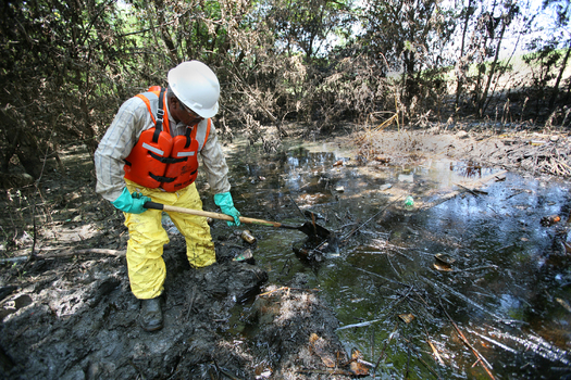 PHOTO: Dozens of volunteers are becoming certified in Indiana to respond to wildlife during an oil spill. Photo:Leif Skoogfors/Federal Emergency Management Agency.