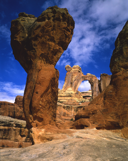 PHOTO: A court ruling ensures that motorized vehicle use will continue to be restricted at Salt Creek Canyon in Canyonlands National Park. Photo courtesy Utah Office of Tourism.