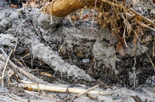 Photo: Coal ash residue is visable along the banks of the Dan River, the site of the February spill in Eden, N.C. Courtesy: Waterkeeper Alliance