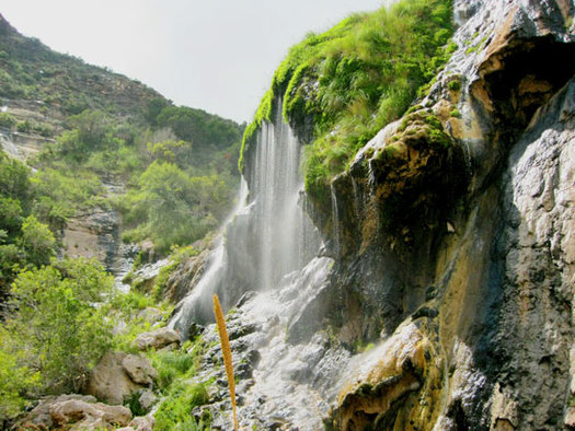 PHOTO: New Mexico is the scene of the latest public-lands dispute after the Otero County Commission ordered the local sheriff to open gates inside Lincoln National Forest to allow cattle to drink from a spring. Photo courtesy of the U.S. Department of Agriculture.