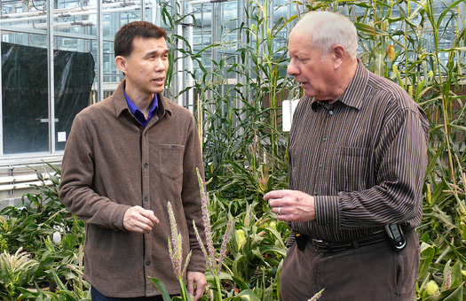 PHOTO: Purdue professor Cary Mitchell and other researchers developed a technique that could allow some crops to be grown in caves or mines. Photo courtesy of Purdue University.