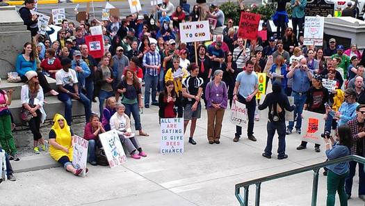 PHOTO: Hundreds will gather this weekend in Indianapolis for the March Against Monsanto, an annual worldwide event to draw attention to the use of genetically modified organisms (GMOs). Photo credit: Angie Capretti.