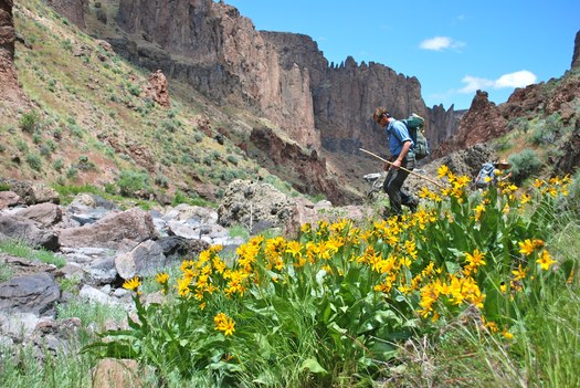 PHOTO: A hiker explores the West Little Owyhee River Canyon in southeast Oregon's Owyhee Canyonlands. An independent economic analysis says protecting the area could be a much-needed boost for the Malheur County economy. Photo credit: Tim Neville.Photo by Tim Neville