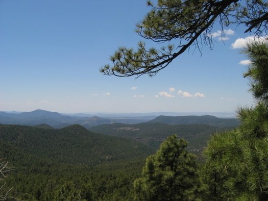 PHOTO: Conservationists in New Mexico are reacting to the federal government's plan for all future travel inside the huge Gila National Forest, located in the southwestern part of the state. CREDIT: U.S. Forest Service.