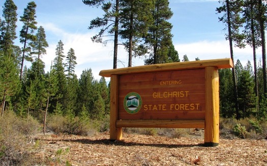 PHOTO: Gilchrist State Forest is Oregon's newest state forest, created in part with money from the Land and Water Conservation Fund. Photo courtesy Oregon Department of Forestry.