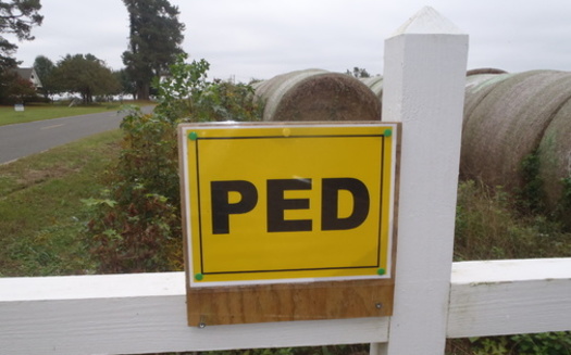 PED (Porcine Epidemic Diarrhea) sign informing public that the virus has been found on this North Carolina pig farm. Photo Courtesy of Waterkeeper Alliance.