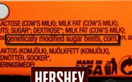 PHOTO: This image, from a presentation by Michael Hansen of Consumer Reports, shows the label of a candy bar sold in Europe, where food companies already are required to label their genetically-engineered ingredients. Photo courtesy Michael Hansen.