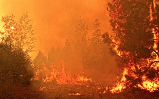 PHOTO: The Rim Fire burns in the Stanislaus National Forest last summer. In light of the state's current wildfires and changing climate, experts say it may be time to re-evaluate how wildfires are fought, and focus on making communities more fire-safe. Photo credit: Mike McMillan, U.S. Forest Service.