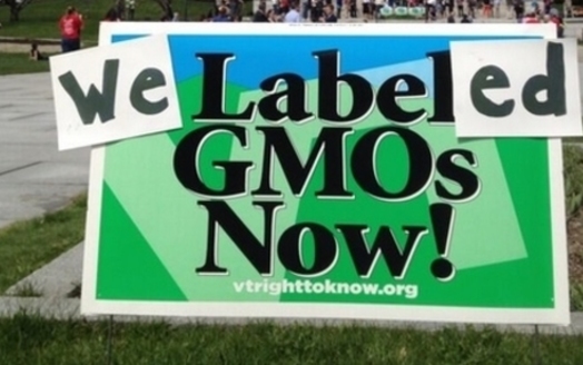 PHOTO: In Vermont, legislation to label foods made with genetically modified ingredients is set to go into effect in 2016 but is being challenged in court. There are November ballot measures in Oregon and Colorado. Photo courtesy Center for Food Safety.