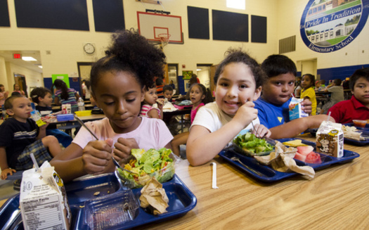 PHOTO: Dallas is part of a group of the nation's largest school districts adopting an antibiotic-free policy for chicken served on cafeteria menus. Photo credit: U.S. Department of Agriculture/Flickr.