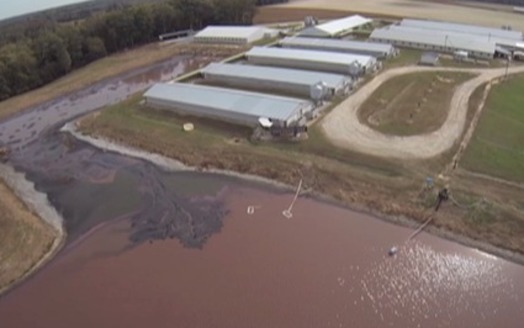 Photo: Devries captured images like this one with his camera equipped drone, which flew over several North Carolina pig farms which supply hogs to Smithfield. Photo courtesy: Devries