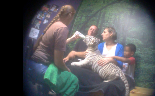 PHOTO: It may look like fun, but such close proximity to exotic animals invites trouble, according to an undercover investigation of Virginia's Natural Bridge Zoo. In addition to human safety issues, investigators say they found evidence of animal neglect and abuse. Photo courtesy Humane Society of the United States.