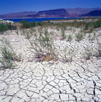 PHOTO: Some farmers and ranchers in New Mexico and other drought-ravaged Western states are eligible for emergency government loans linked to the USDA declaring 256 counties natural disaster areas. Photo courtesy U.S. Bureau of Reclamation.