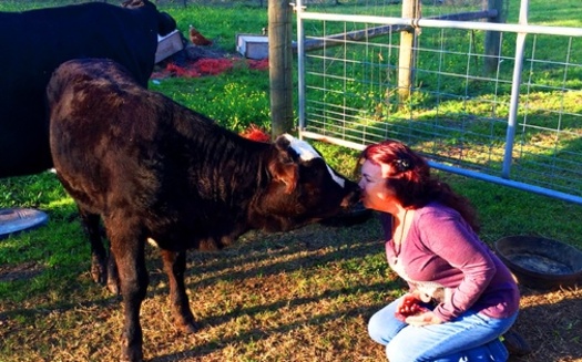 Renee King-Sonnen married a fourth generation cattle rancher, but now is converting the 96-acre Angleton cattle ranch into an animal farm sanctuary.