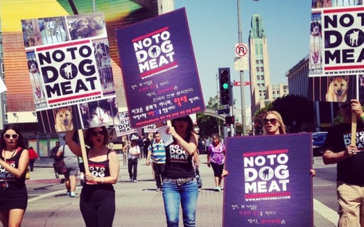 PHOTO: A California animal-rights group aims to raise awareness of cruelty involved in the dog meat trade in the United States and abroad. Photo courtesy: No To Dog Meat.