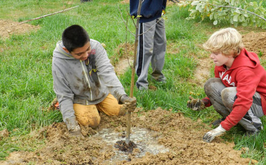 PHOTO: Tree plantings are among the 83 projects being funded with a new round of grants from the Chesapeake Bay Trust. Photo courtesy of the Chesapeake Bay Trust.