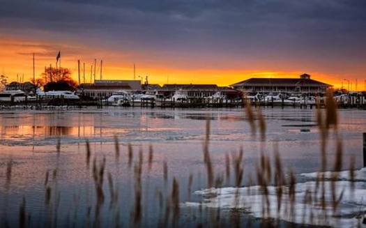 PHOTO: Investing in the health of Chesapeake Bay would have a big payoff, according to a clean-water group's analysis. Photo by Krystle Chick and the Chesapeake Bay Foundation.