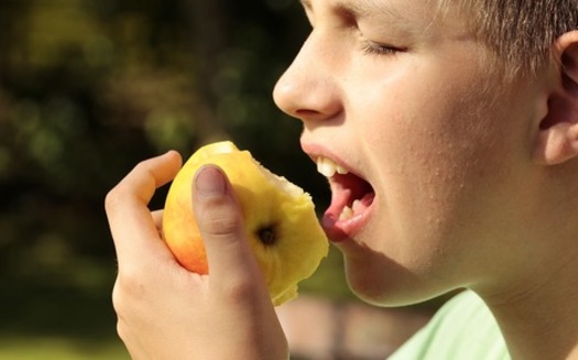 More than 800,000 students in schools across Maryland are set to take a synchronized crunch into an apple at 9:15 Wednesday morning. While not just for students, the Hear the Maryland Crunch Initiative is intended to promote school breakfast. Credit: Sipa/Pixabay.com.