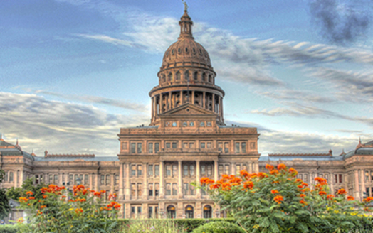 PHOTO: The Texas House of Representatives has passed HB 31 and HB 32, which call for nearly $5 billion in sales and business tax cuts. The bills' sponsors say the measures will save a family of four $172 a year. Critics argue the state needs to invest surpluses in children and infrastructure. Photo credit: Texas Sunset Advisory Commission.