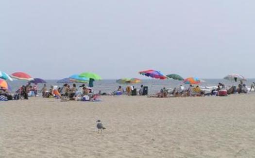 Summer vacation adventures on public lands could change dramatically if the push to turn federal lands over to state control succeeds, and there have been moves to do that in both the U.S. House and Senate. Photo of beach-goers at Assateague Island. Courtesy: National Park Service.