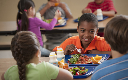 PHOTO: Summer nutrition programs funded by the U.S. Department of Agriculture are helping more children in Nevada, but a new report says the state still ranks low in terms of participation compared to other states. Photo courtesy U.S. Department of Agriculture.