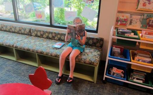 PHOTO: Libraries in Illinois typically provide summer reading programs, which can be valuable for students and help them avoid what educators call the summer slide. Photo credit: Anita Peppers/Morguefile.