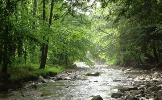 A federal court has cleared the way for what conservationists say needs to happen to clean up Pennsylvania tributaries of Chesapeake Bay - including reducing polluted farm runoff. Photo courtesy Chesapeake Bay Foundation.
