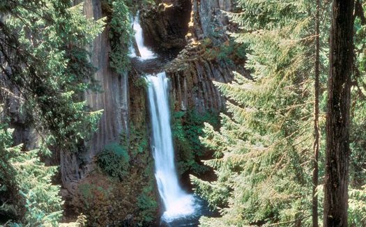 Projects to improve water quality and fish habitat in Oregon's Umpqua, Siuslaw and Rogue-Siskiyou National Forests were just a few in line for Land and Water Conservation Fund grants for 2015. Credit: U.S. Forest Service.