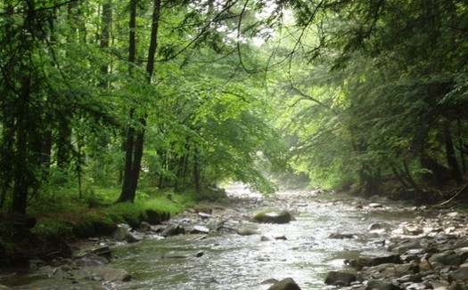PHOTO: Hunters and anglers in Pennsylvania are nearly unanimous in their support for a controversial EPA's clean water policy, according to a new poll. Pennsylvania stream photo courtesy of the Chesapeake Bay Foundation.