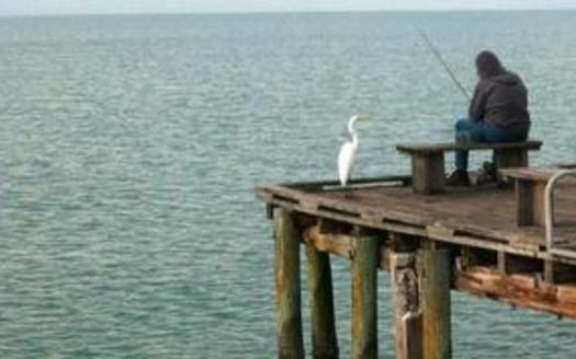 The Florida Fish and Wildlife Conservation Commission wants anglers to participate in a survey to help the agency better set future fishing seasons and catch limits. Credit: MGDBoston/Morguefile.