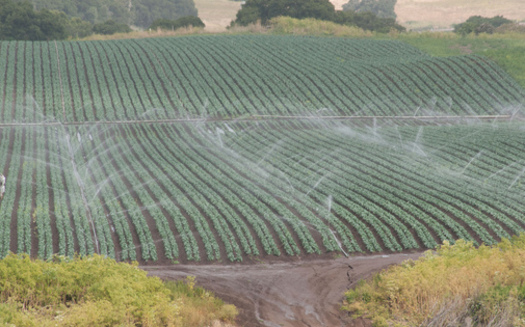 Farming is taking too much aquifer water, according to new research. Photo courtesy of USDA.gov