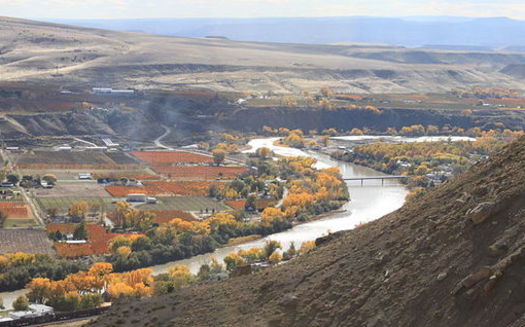 Colorado River. Credit: Donna Boley/Wikimedia Commons.