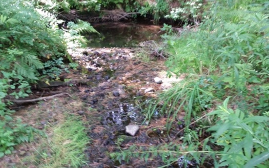 New Hampshire conservationists say streams such as this one in Epsom should return to cooler temperatures under the new EPA Clean Power Plan, which will benefit native brook trout and other local fish and wildlife. Credit: Eric Orff/National Wildlife Federation.