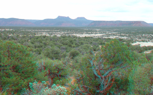 Long view of Bears Ears, Utah, cited for housing centuries of history for the Navajo and other tribes. Courtesy: U.S. Geological Survey