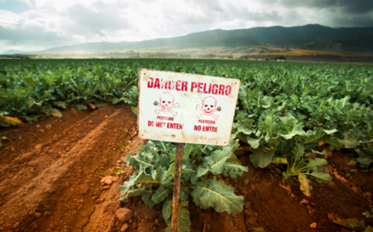 The effects of agricultural pesticides on farm workers are among the reasons a new poll shows Latinos care deeply about environmental issues. Credit: pgiam/iStockphoto.com.