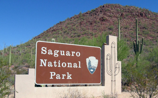 Saguaro National Park, divided in eastern and western units on either side of Tucson, is home to Arizona's most iconic cactus, which is also among the world's rarest. Courtesy: National Park Service
