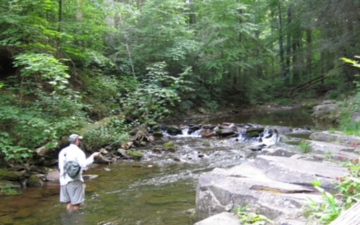 West Virginians will get to voice their opinions tonight in Charleston on a federal rule designed to protect streams. Credit: Trout Unlimited