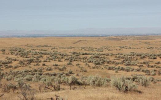 Sagebrush public lands in Wyoming are part of the largest conservation project ever undertaken by the BLM. Credit: Deborah C. Smith