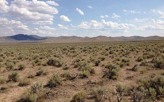 Nevada is heaven for sage-grouse, and new management plans aim to keep it that way. This photo was taken on U.S. Highway 93 in Elko County. Credit: Famartin/Wikimedia Commons