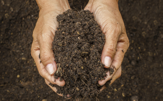 Skip the fertilizer. The addition of compost to your soil in the fall will help your lawn be healthy and green next year. Credit: bluedogroom