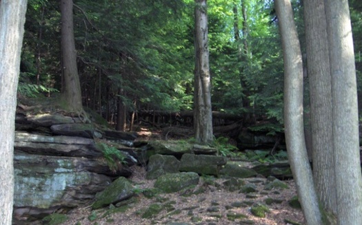 The Land and Conservation Fund helps protect the Cuyahoga Valley National Park. Credit: Taximes/Wikimedia