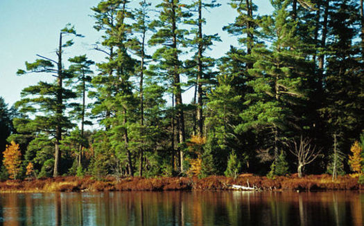The Land and Conservation Fund helps protect the Ottowa National Forest. Credit: Joseph O'Brien, USDA Forest Service