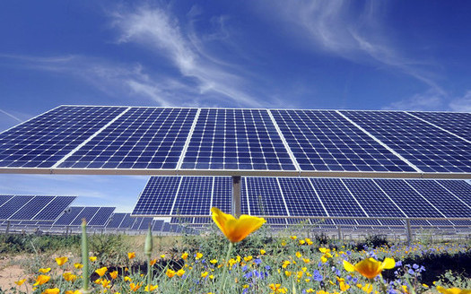 A new study says Arizona could meet EPA carbon reduction goals by speeding up solar and wind power projects already in the planning stages. Credit: Salt River Project