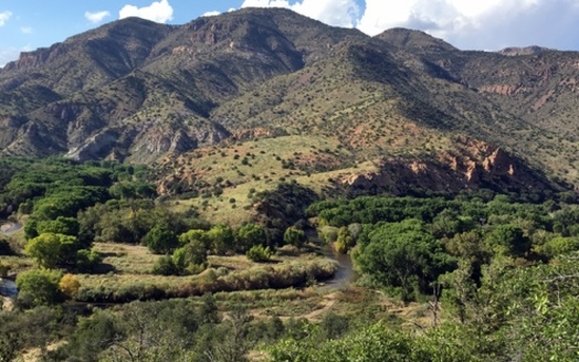 Environmental groups are fighting plans to divert water from the Gila River basin. Credit: Allyson Siwik, Gila Conservation Coalition<br />