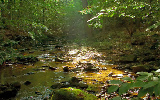 The Clean Water Rule would protect small streams and headwaters. Credit: Brubakerslegacy/Wikimedia Commons