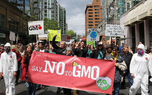 Polls show that more than 90 percent of Americans want GMO labeling. Credit: Rosalee Yagihara/Wikimedia.org