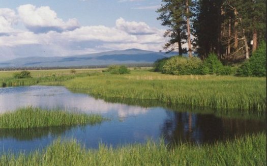 Klamath Basin water users are concerned that the region's overarching water-rights agreement will die in Congress this month. (waterwatch.org)