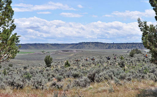Most of the natural gas leases in Oregon are in Malheur County, part of the Vale BLM District. (Tara Martinak/BLM/Wikimedia Commons)
