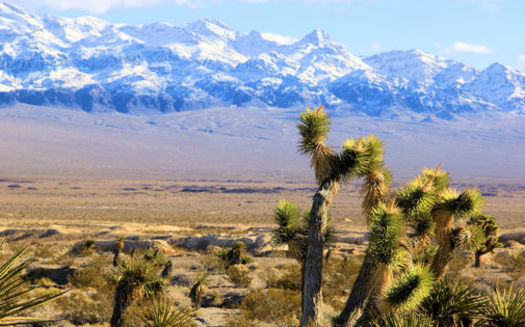 A new poll shows Nevadan are extremely concerned about drought, and place great value on federal public land such as the Tule Springs Fossil Beds National Monument. (Alan ONeill/Outside Las Vegas Foundation)